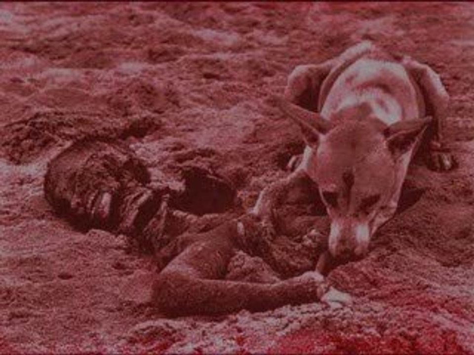 L'OMS prepare en secret une vaccination de masse forcée