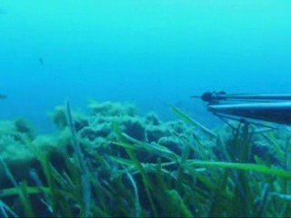 sortie avec stephane