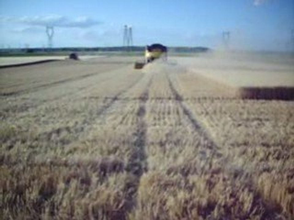 moisson 2009 14 juillet 2009