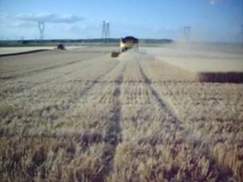 moisson 2009 14 juillet 2009