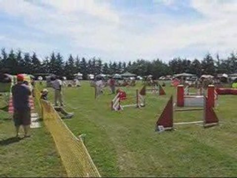 1er concours agility de Coco, 26/07/09, jumping