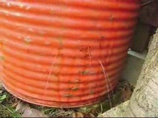 Conséquence d'une partie d'airsoft !