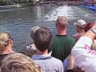 triathlon Hambourg-Natation