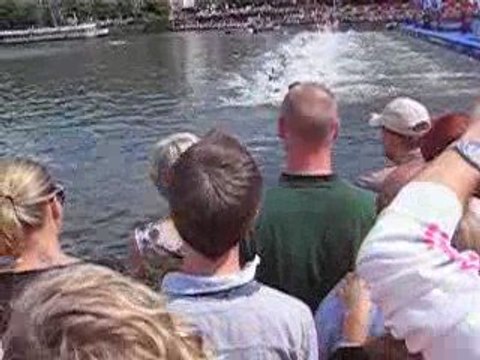 triathlon Hambourg-Natation