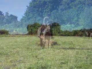 Séances sous le soleil