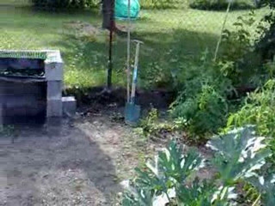 jardin salade tomate courgette