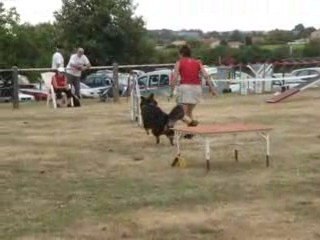 Kawa Cognac: Premium French Spirit