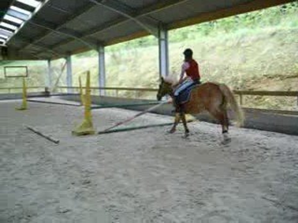 saut 80/70 cm avec harmanie