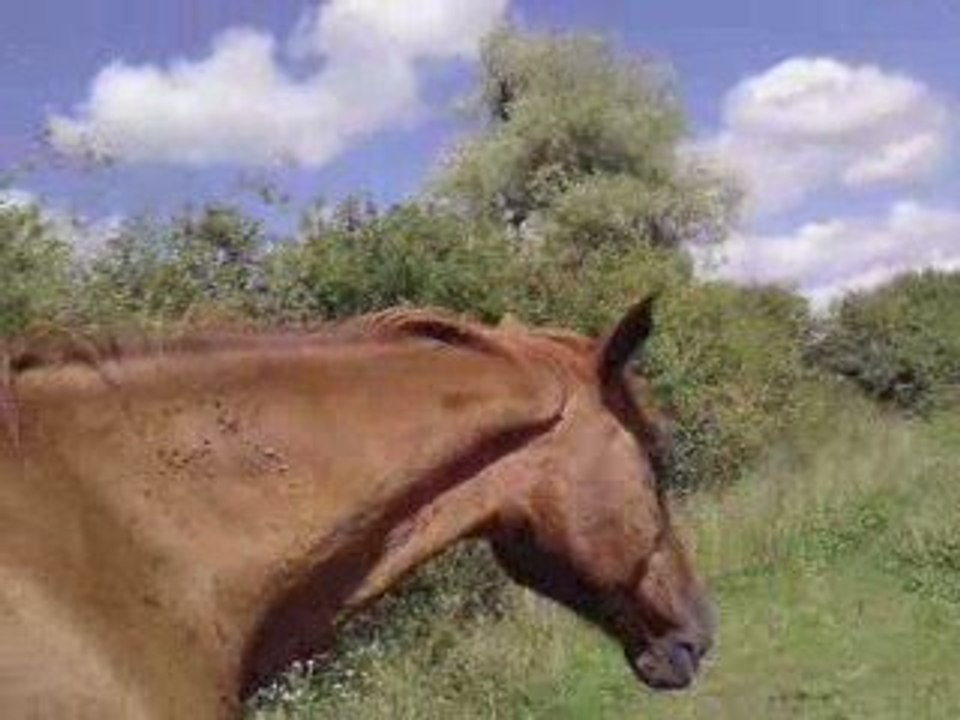 V200709_16.14
