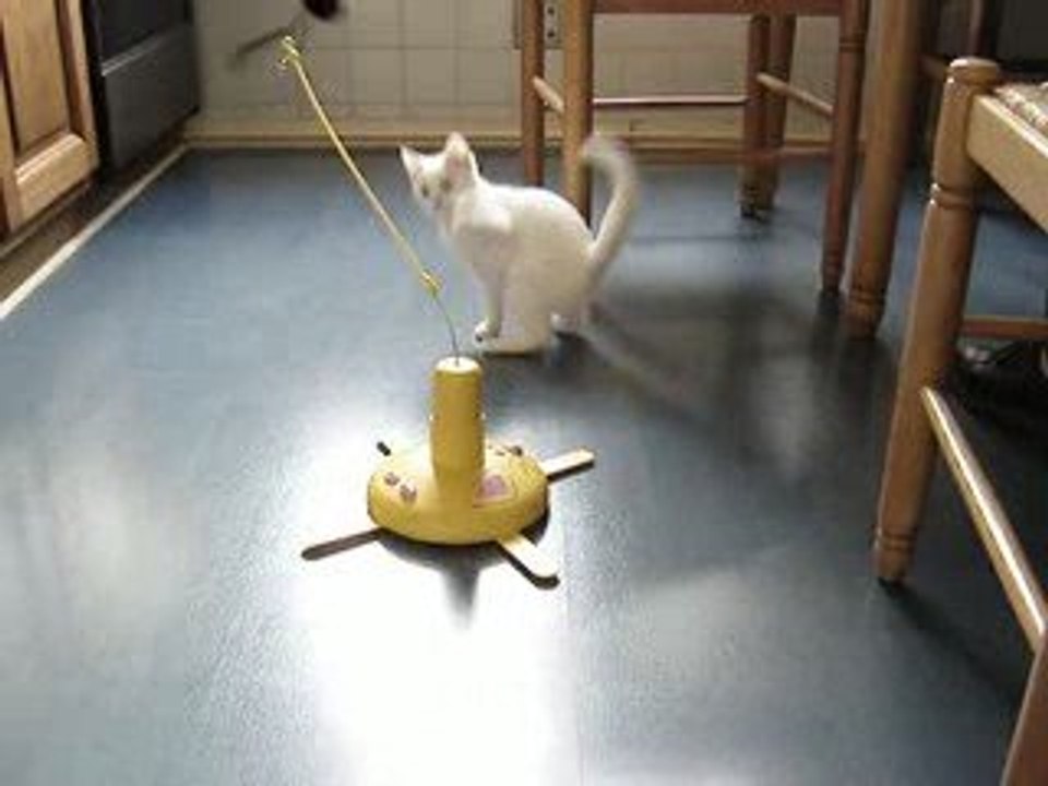 Panic Mouse