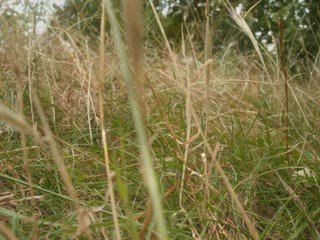 Life's a Journey - Compo par ToMa