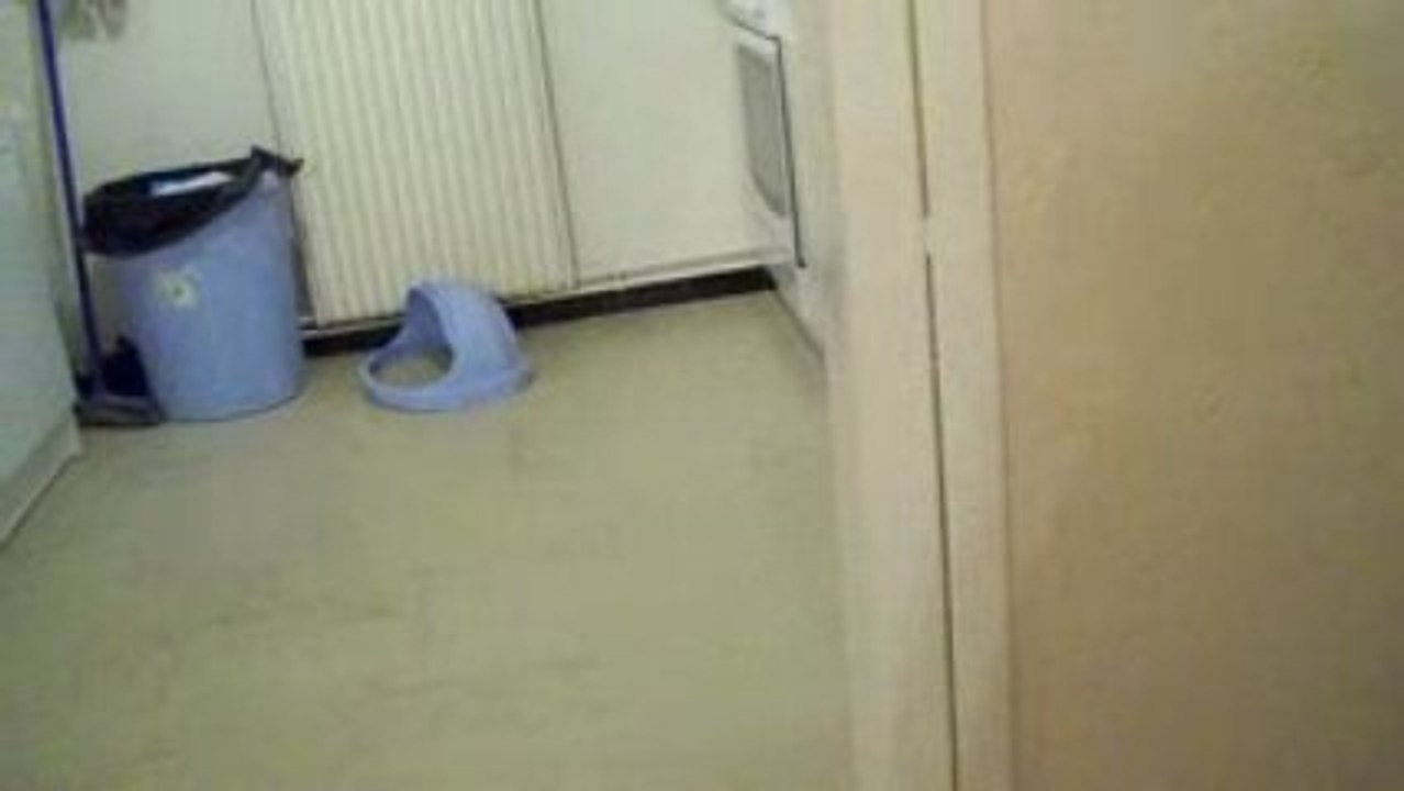 ma maison