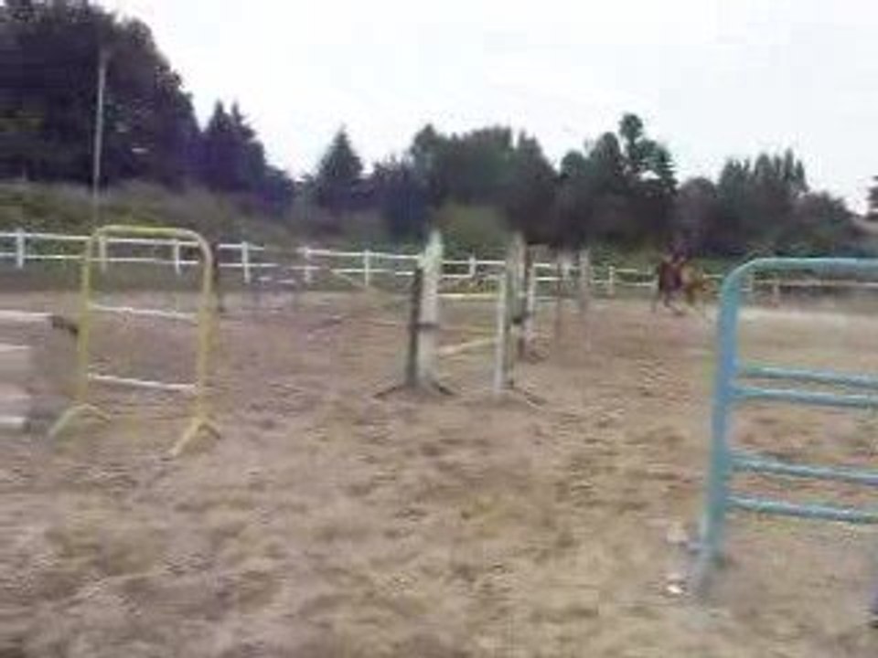 DSCN2099