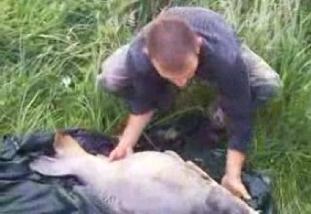 peche a souppes sur loing