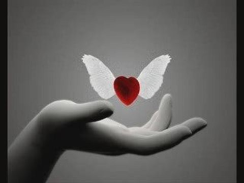 gaivota,fado,amalia rodrigues