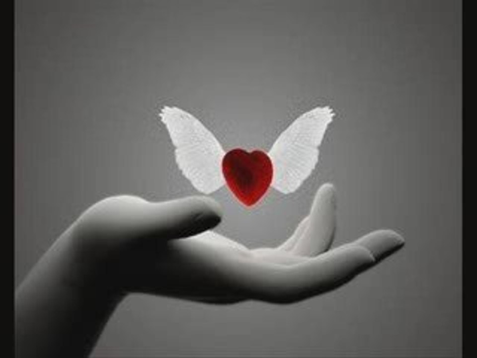 gaivota,fado,amalia rodrigues