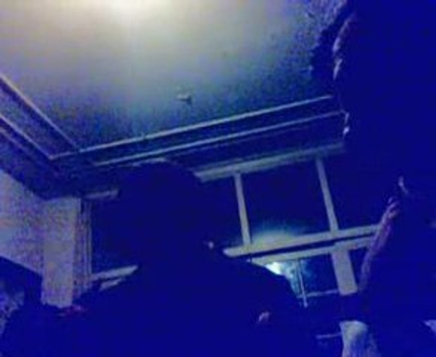 Face the book, the facts, the web, the time, the flies