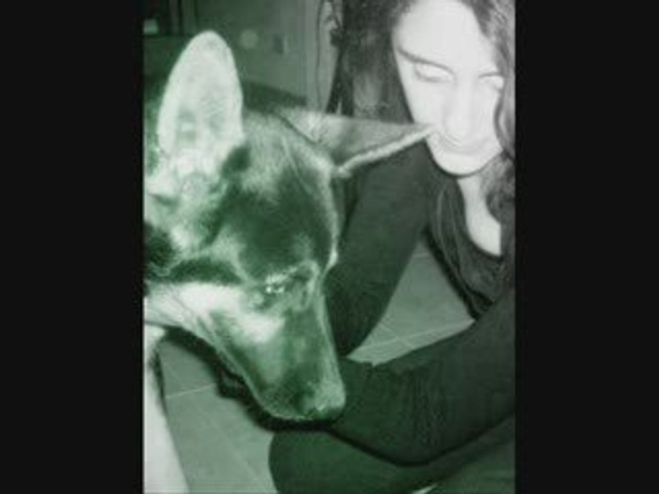 Feliz cumple mi amor.