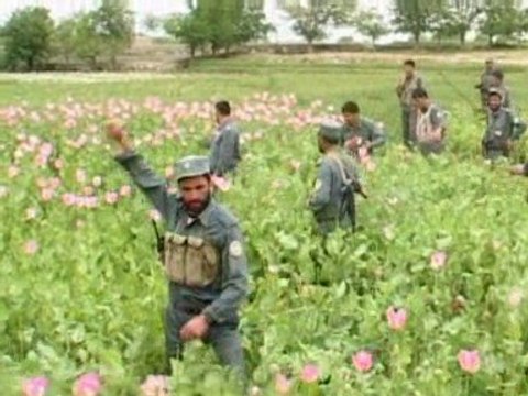 Miliband to promote political integration of the Taliban