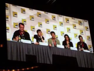 DW SDCC Panel 4