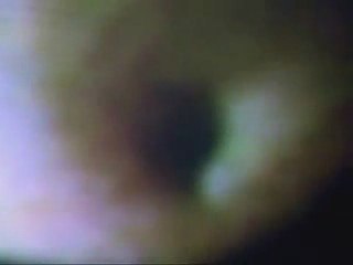 The Price Is Right Losing Horns With Enterainment 5