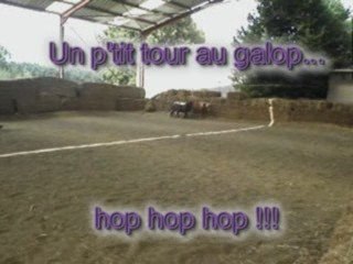 Les petits nouveaux du club