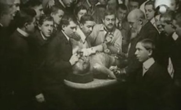 Semmelweis y las infecciones nosocomiales