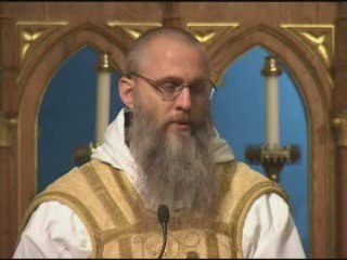 Jul 27 - Homily: Mustard Seeds