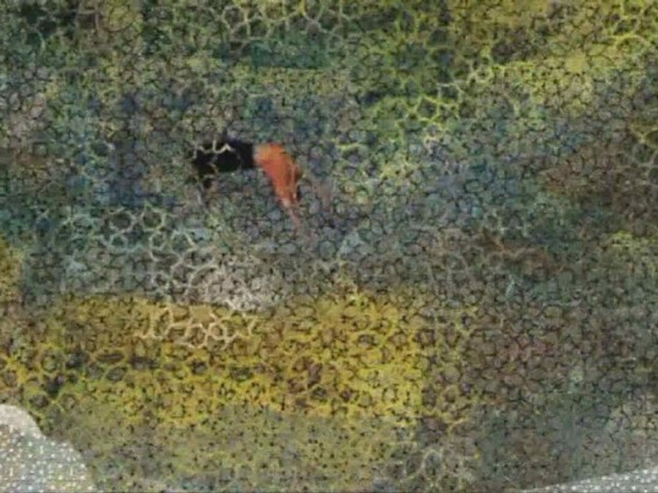 Trailer-Shukran-The Oman Experience