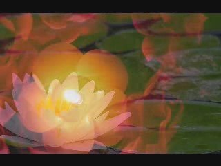 Insomnia Relief and Stress Relief