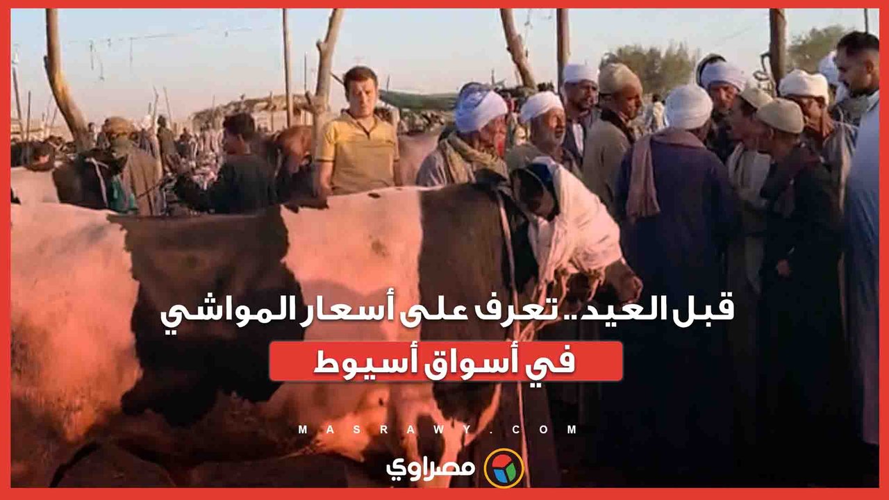 1قبل العيد.. تعرف على أسعار المواشي في أسواق أسيوط...