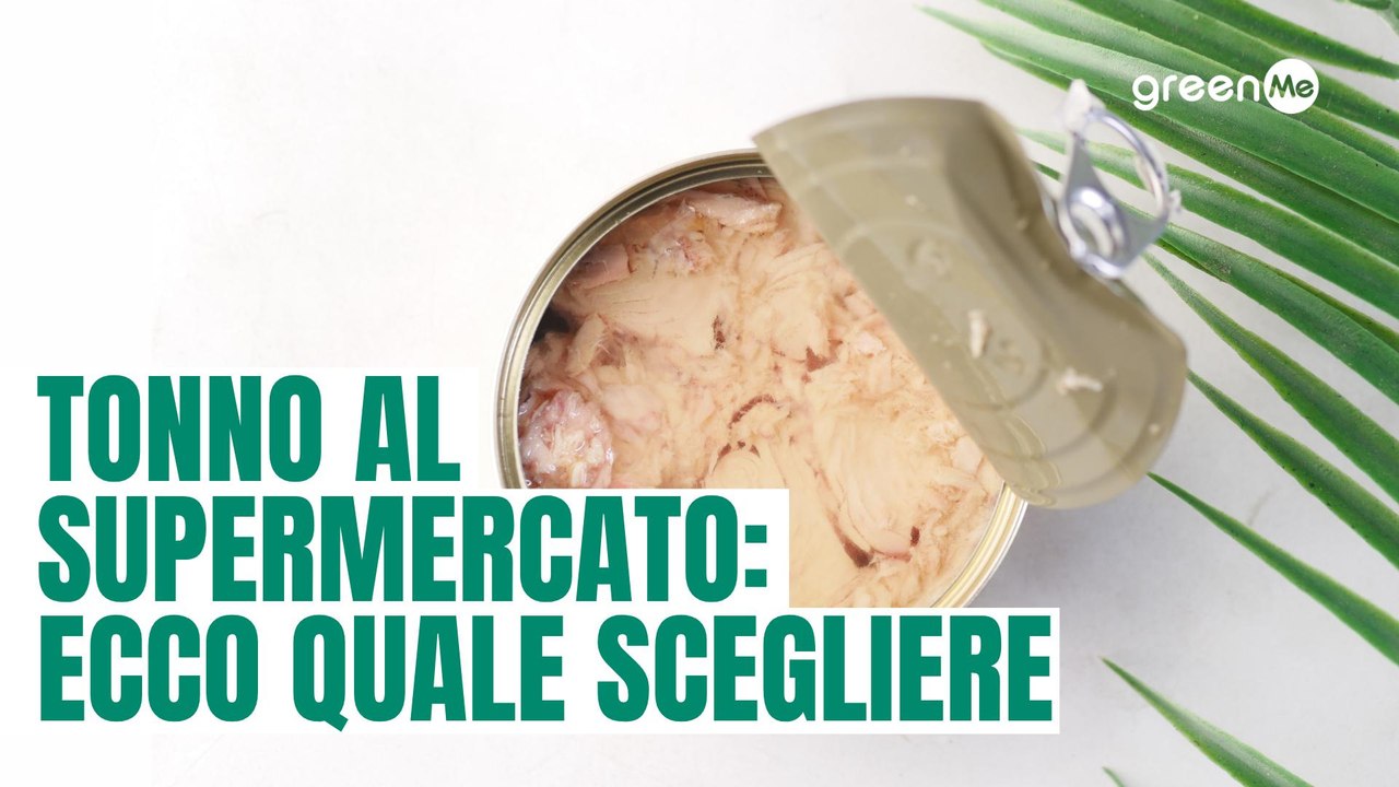 Tonno al supermercato: quale scegliere