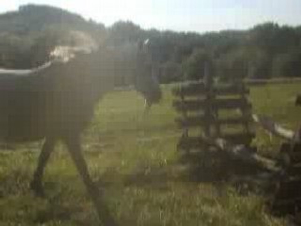 13 juin 08 (2)