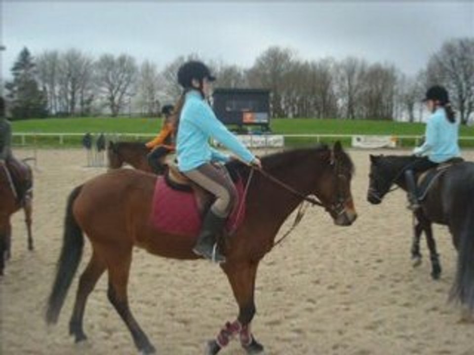 Loulou