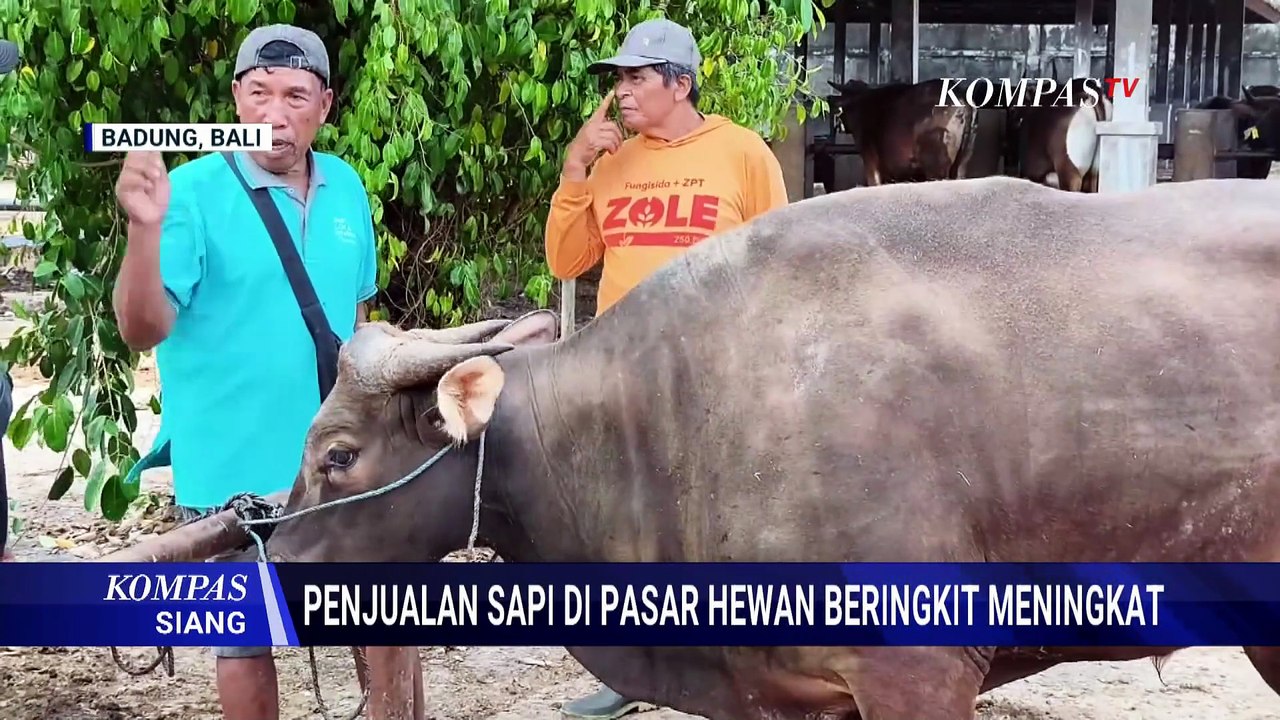 [FULL] Ketua Baznas Ungkap Target Realisasi Kurban di Tahun 2026 | KOMPAS SIANG