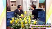 徹子の部屋   動画　2026年05月11日 無料 バラエティー 番組 動画