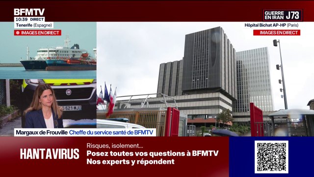 Hantavirus: comment se passe la prise en charge de la Française contaminée par la souche des Andes?
