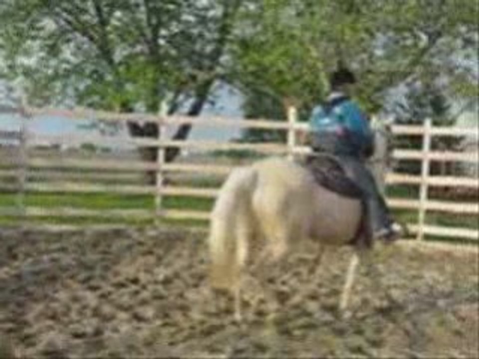 Shéba video