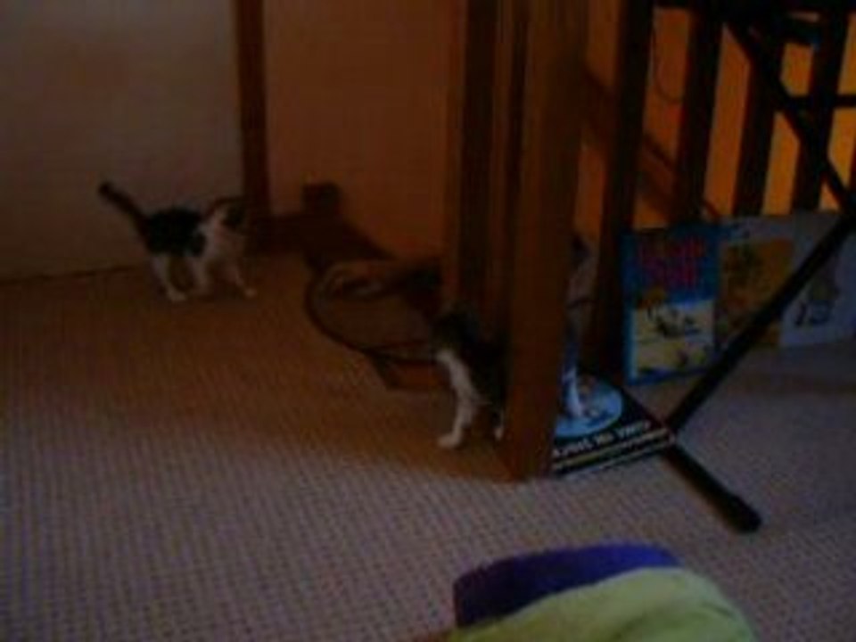 Video 12-06-08 019