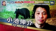 Mr．サンデー  動画　2026年05月11日 8tsu