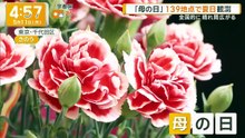 グッド!モーニング  動画　2026年05月11日 バラエティ 動画 9tsu 8tsu.net