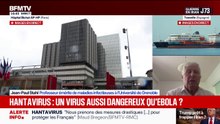 Hantavirus: "C'est un virus qui est très difficilement transmissible d'homme à homme", assure Jean-Paul Stahl, professeur émérite de maladies infectieuses