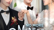 No More Mr. Nice Groom