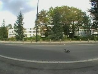 CZ Intro Final