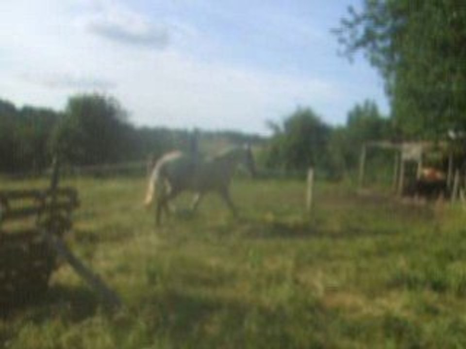 13 juin 08 (5)