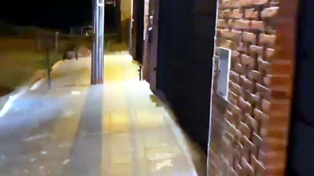 Capturan a “Bugão”, uno de los narcos más buscados de Paraguay