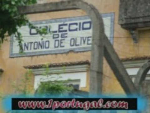 Santa Comba Dão - Portugal - abril 2008 - N.2