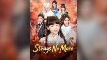 Strays No More
