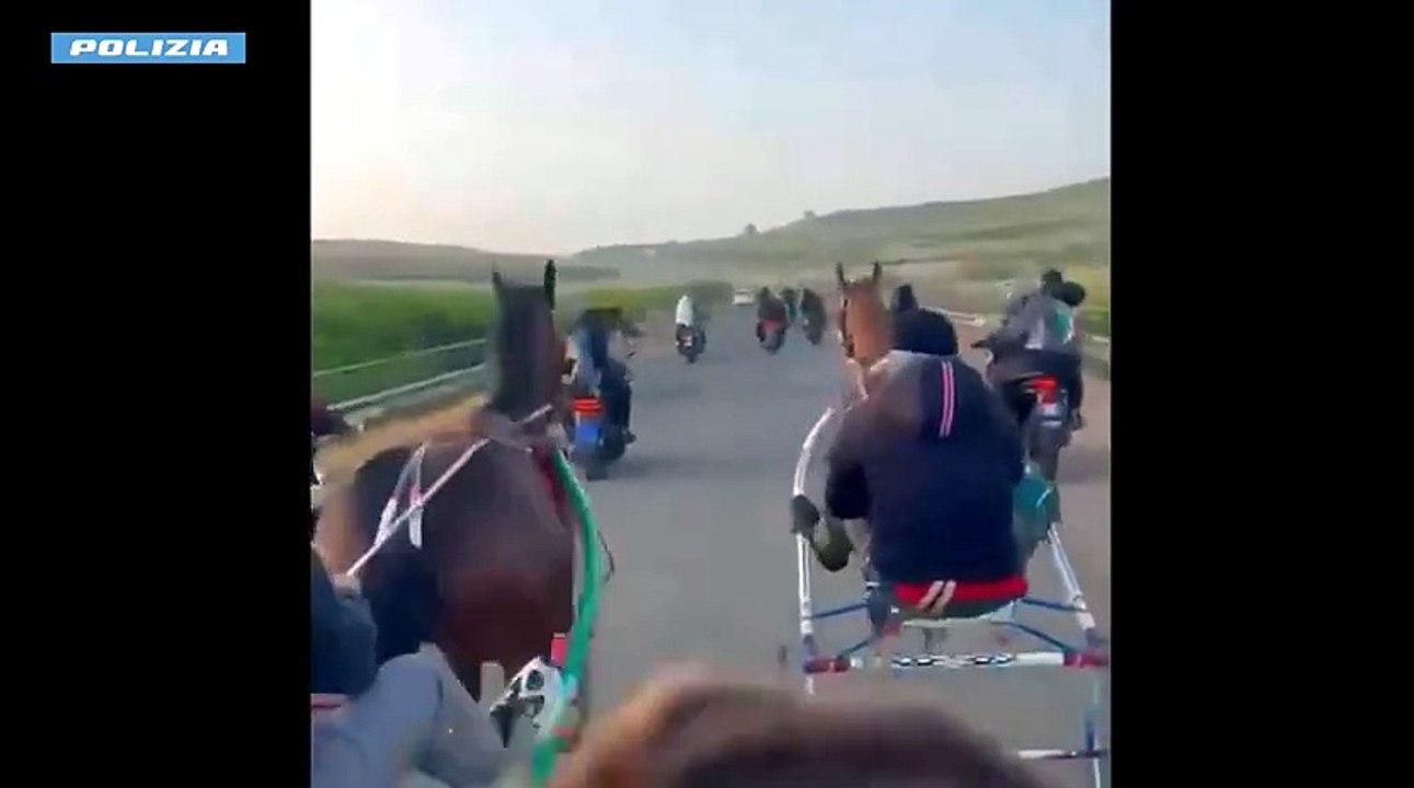 Il video della corsa clandestina di cavalli a Palagonia, la polizia individua i presunti responsabili