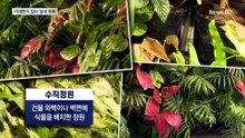 유해물질 91% 줄였다…실내 정원의 기적